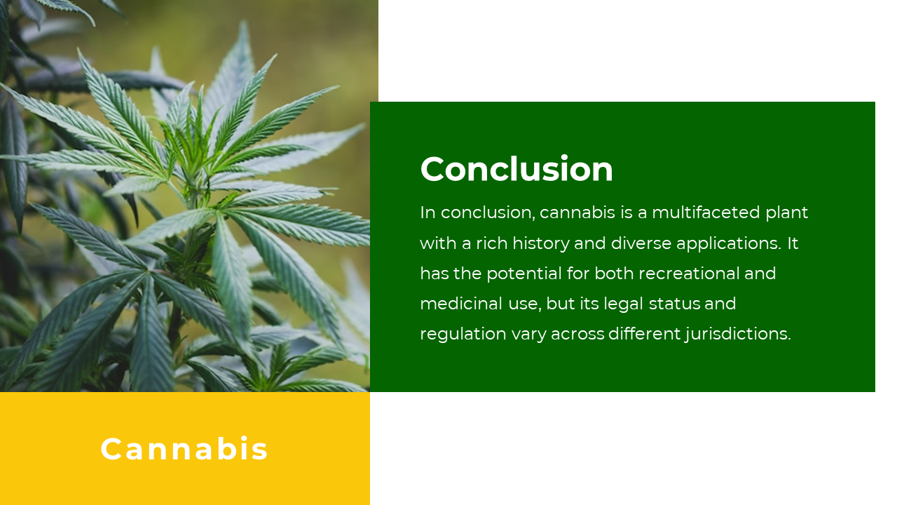 Cannabis plant on the left with a green text box on the right summarizing the plant’s history, uses, and legality.