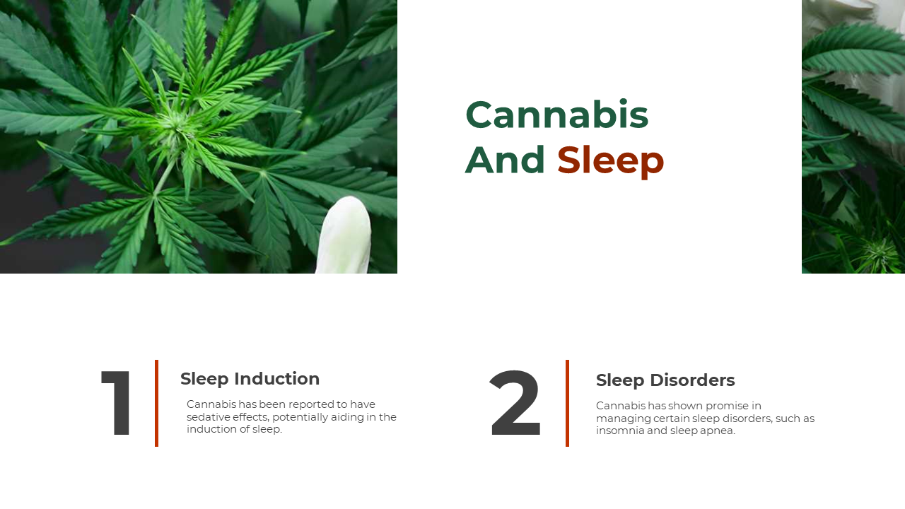 700186-cannabis-powerpoint-template-free-09