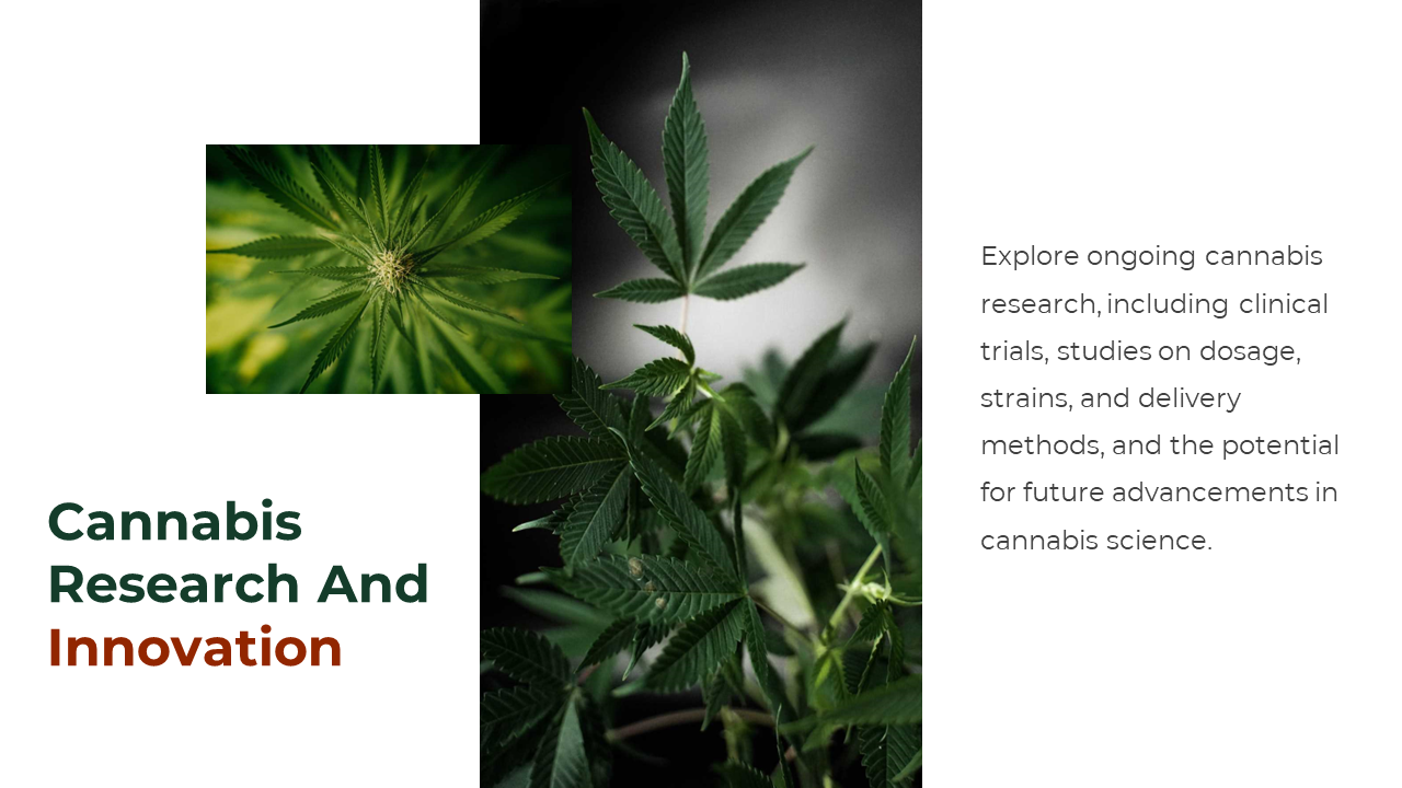 700186-cannabis-powerpoint-template-free-18