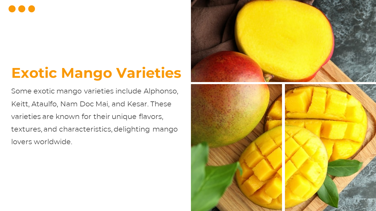 84509-mango-powerpoint-template-slide-14
