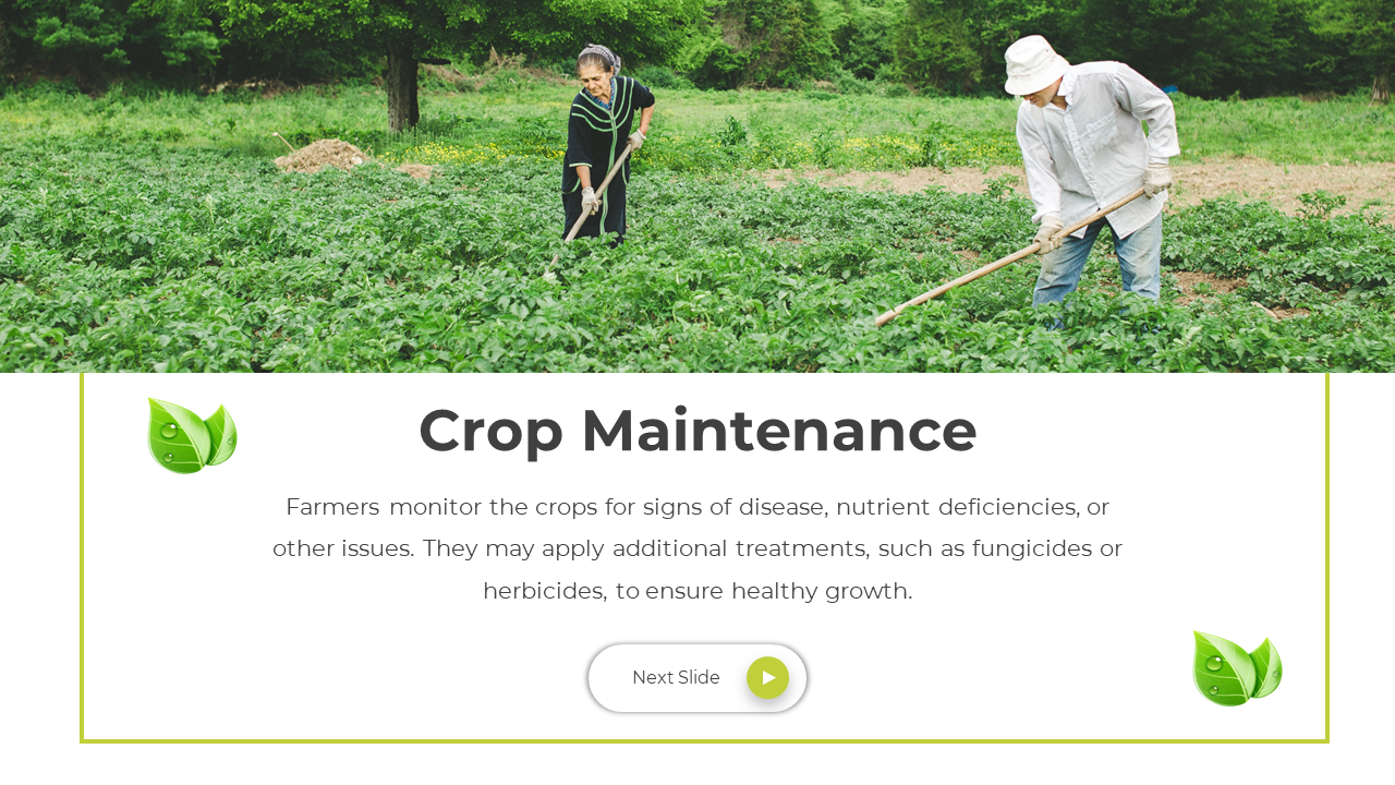 64114-ppt-template-for-agriculture-07