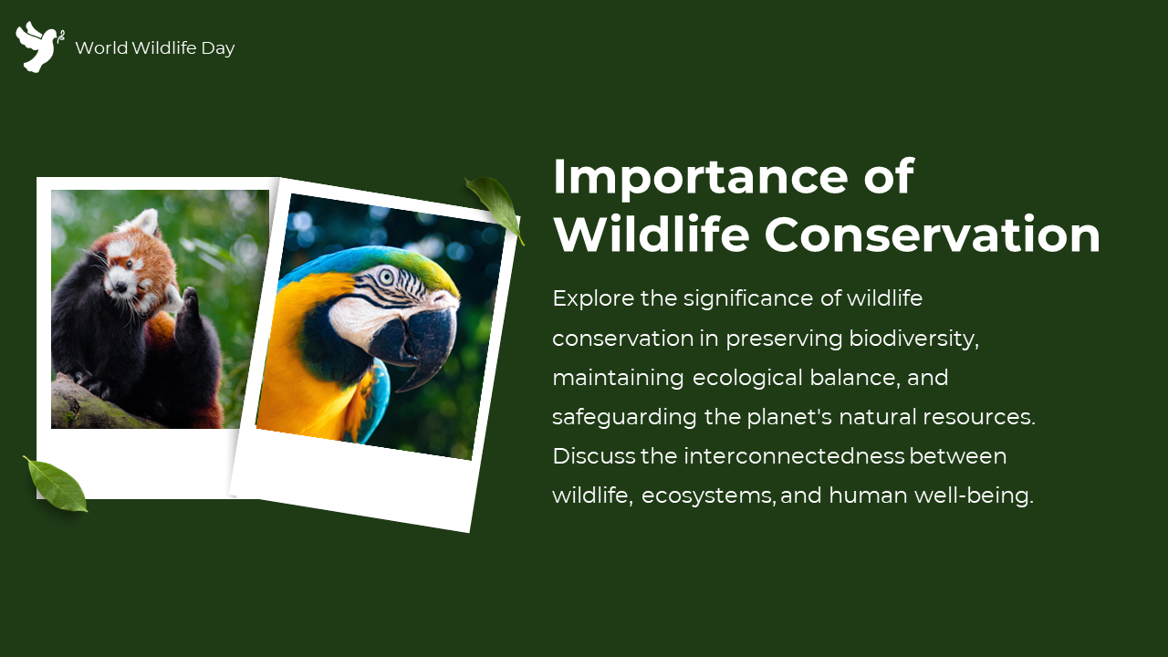 84656-world-wildlife-day-powerpoint-ppt-03
