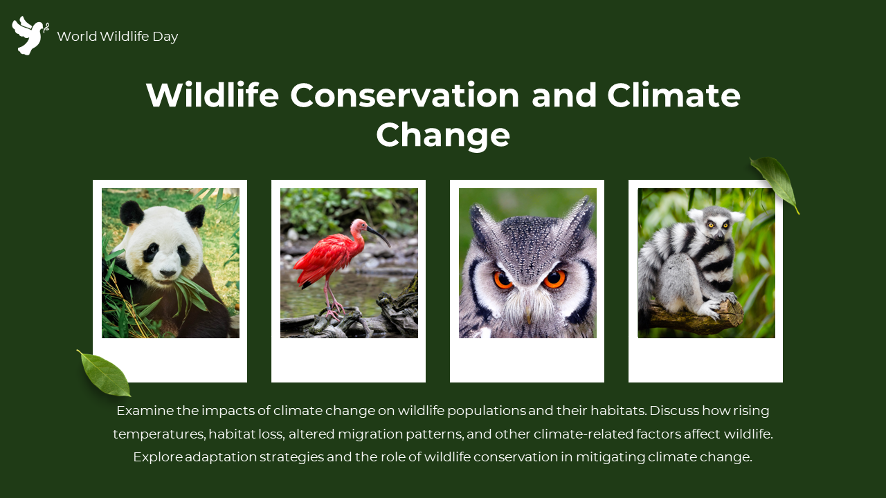 84656-world-wildlife-day-powerpoint-ppt-08