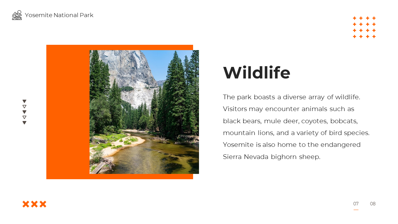 64414-yosemite-national-park-07