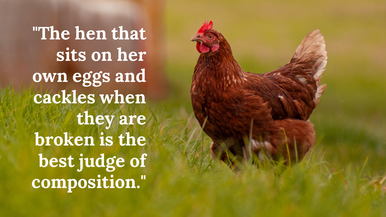 86137-chicken-background-powerpoint-03