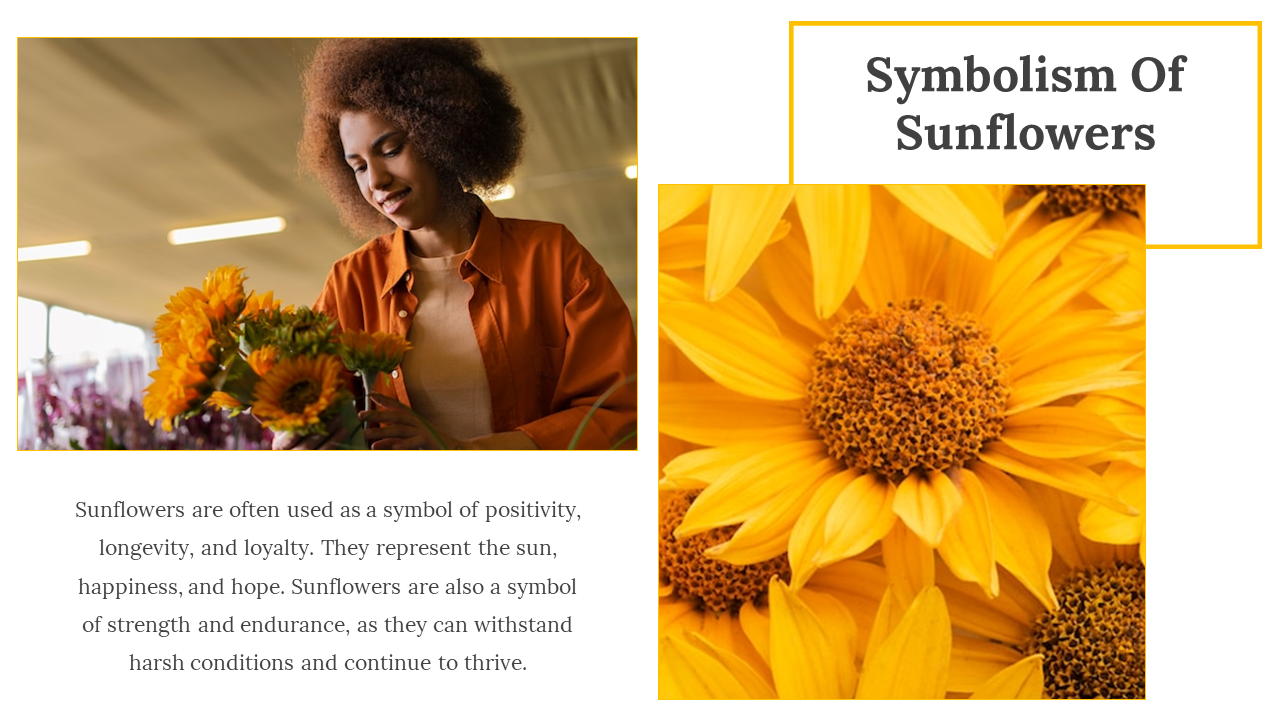 86152-sunflower-slides-06