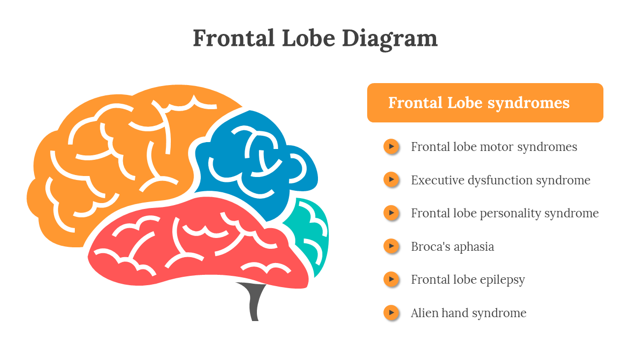 701921-frontal-lobe-diagram-07