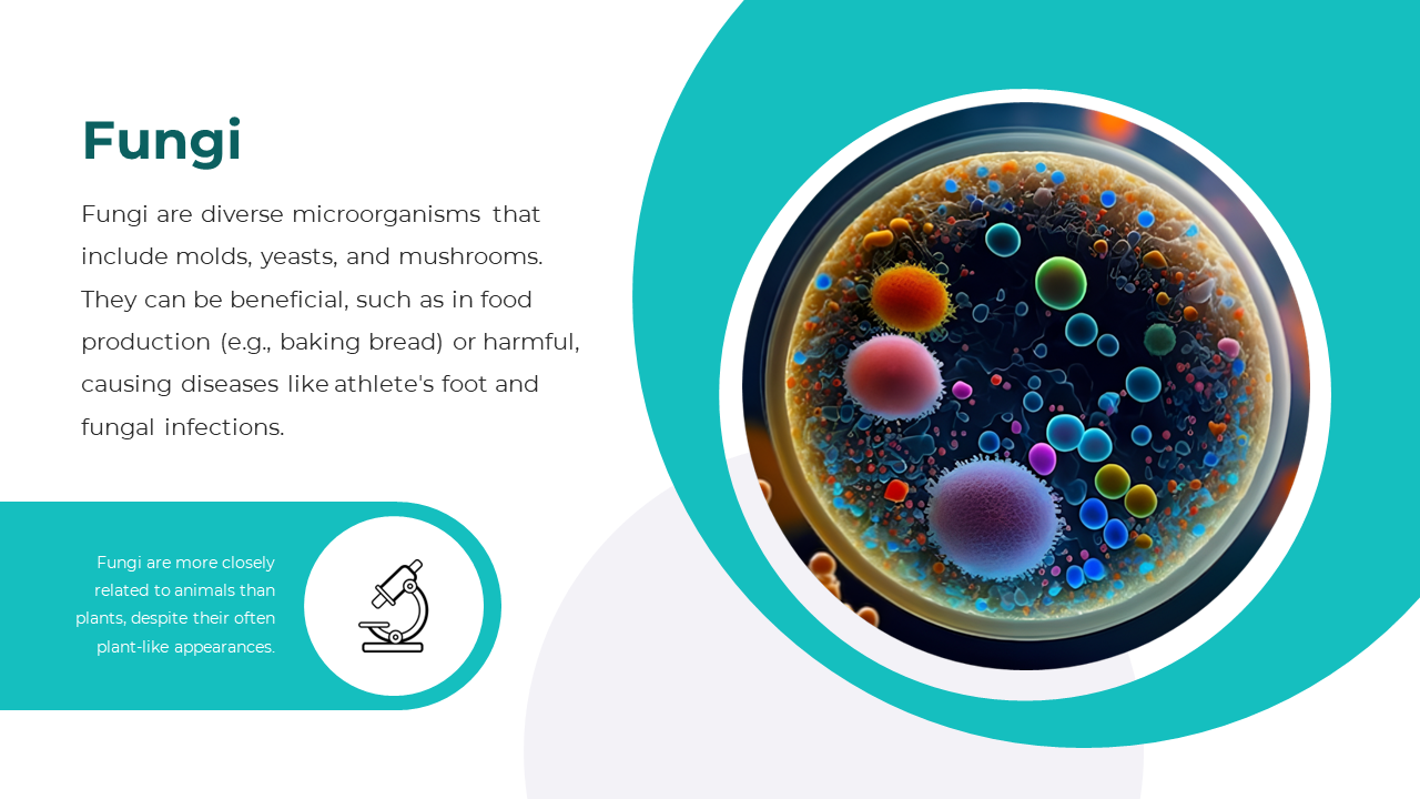 86588-microbiology-templates-free-download-04