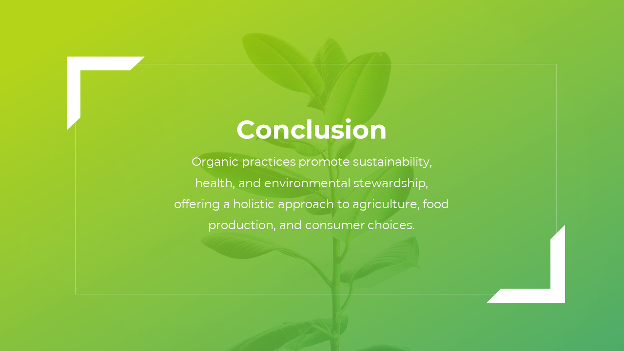 86675-organic-theme-powerpoint-10