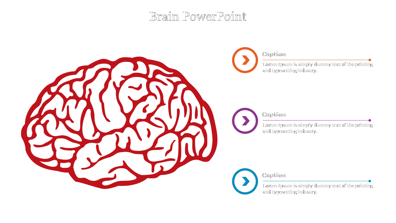 702174-brain-presentation-08