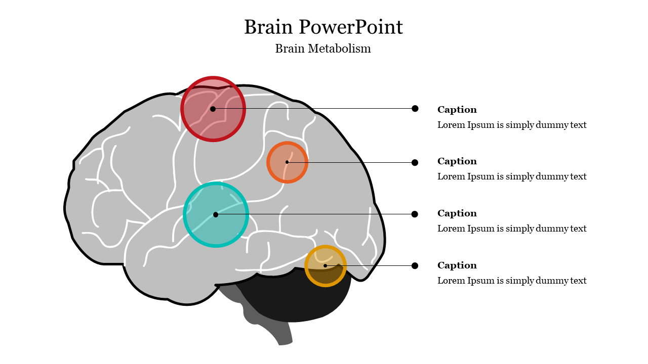 702174-brain-presentation-09