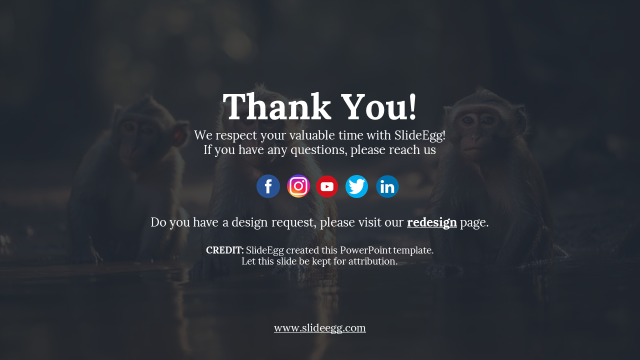 87851-monkey-ppt-12