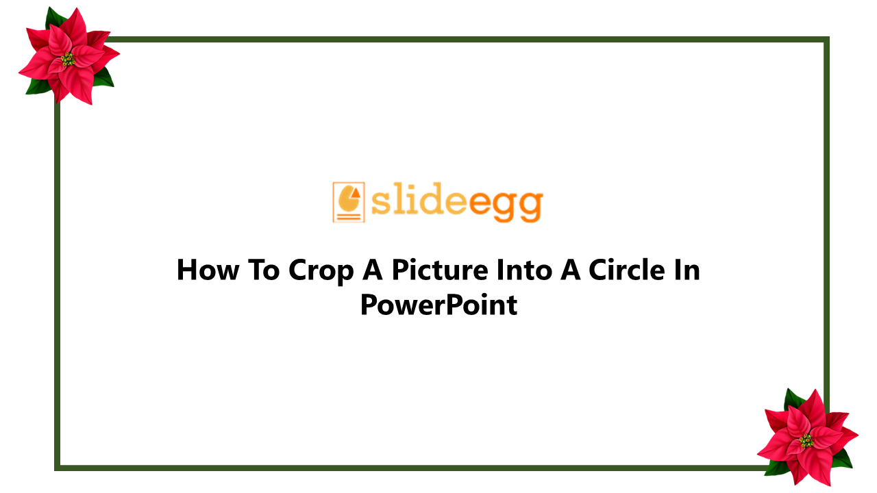 11-how-to-crop-a-picture-into-a-circle-in-powerpoint