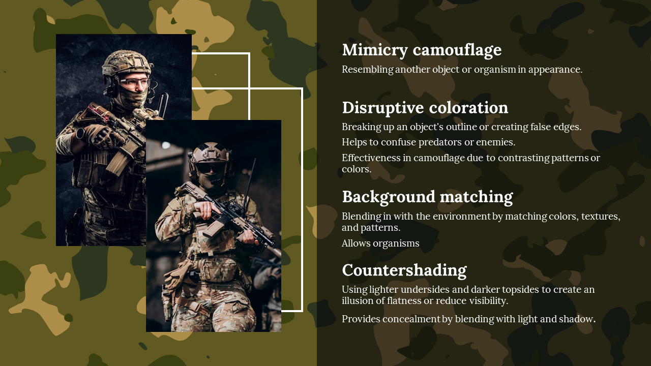 87939-camouflage-powerpoint-template-04