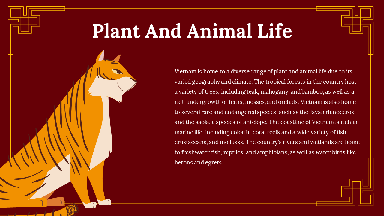 88217-vietnam-theme-google-slides-templates-03