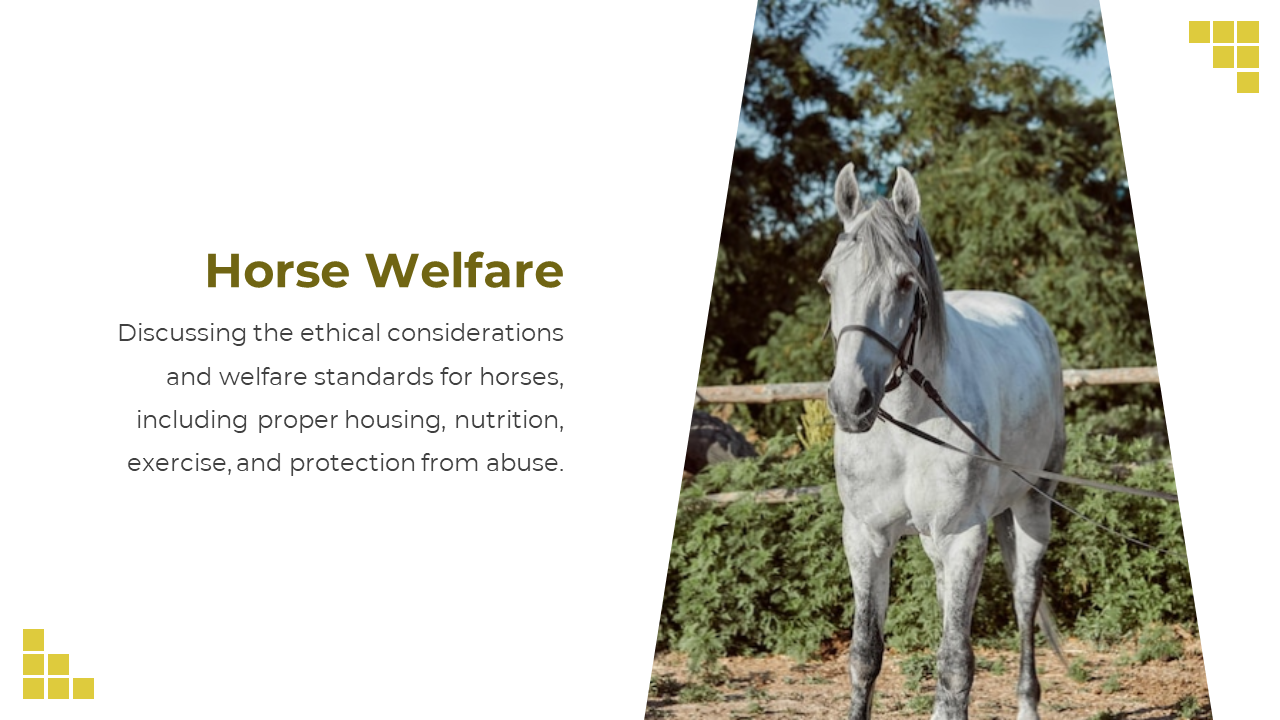 88528-horse-template-powerpoint-13