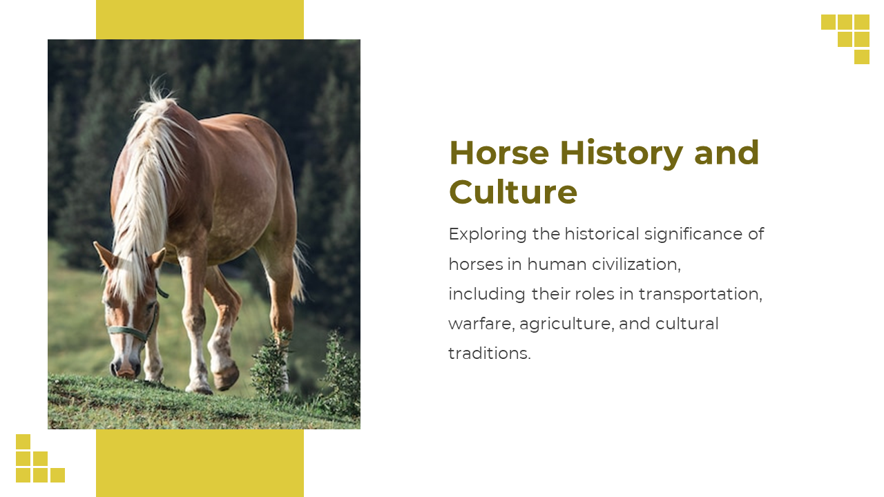 88528-horse-template-powerpoint-14