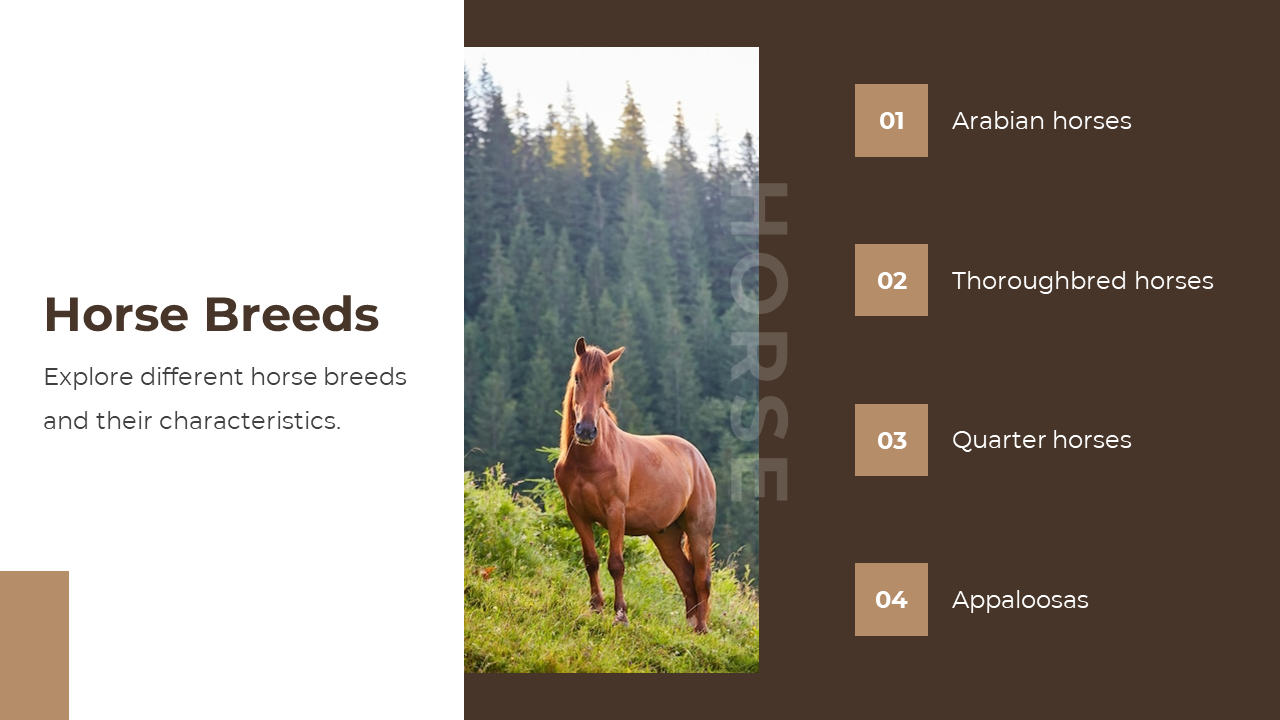 88540-horse-google-slides-template-04