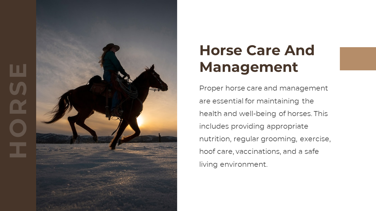 88540-horse-google-slides-template-05