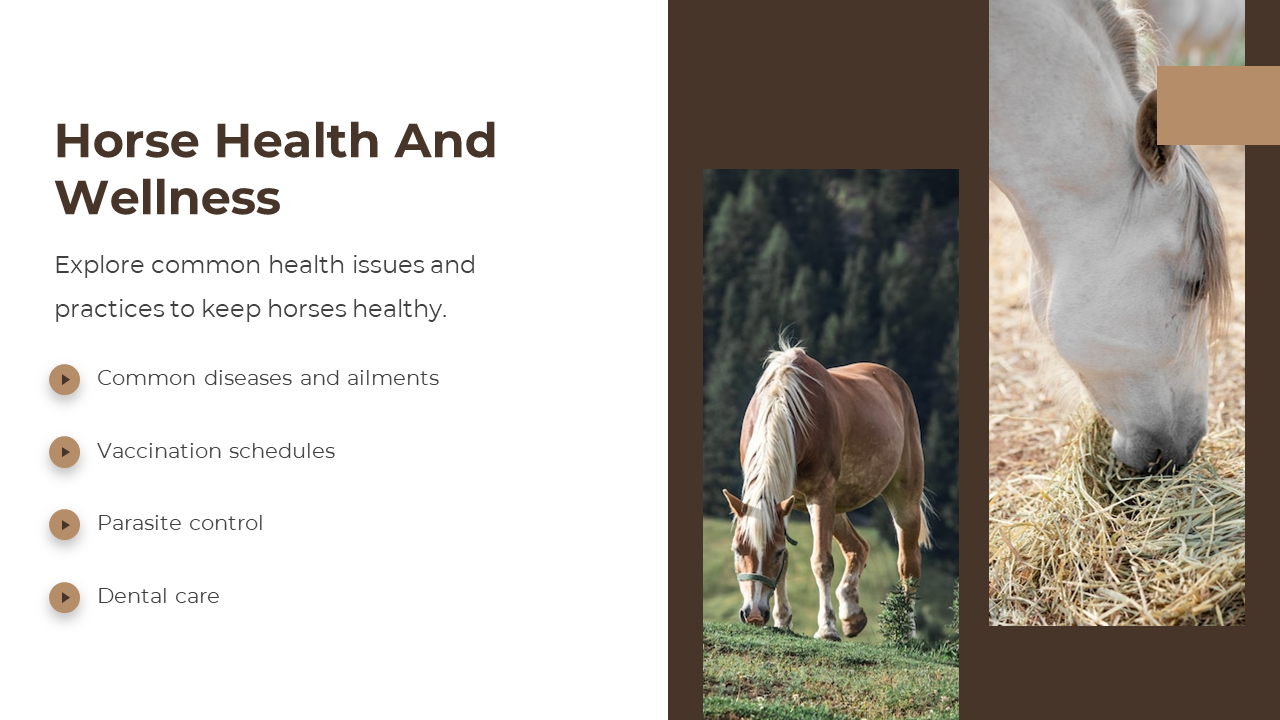 88540-horse-google-slides-template-09