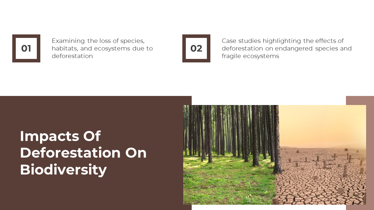 703588-deforestation-powerpoint-templates-free-download-06