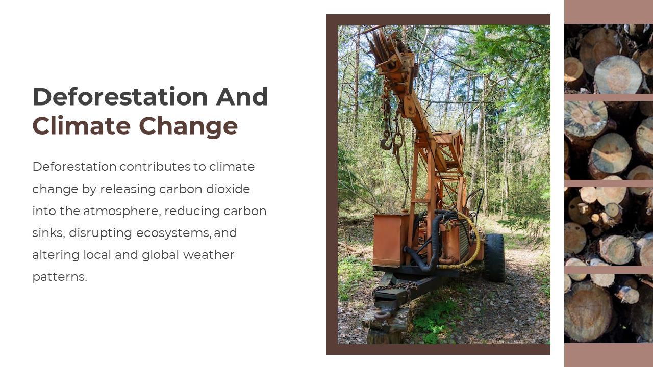 703588-deforestation-powerpoint-templates-free-download-07