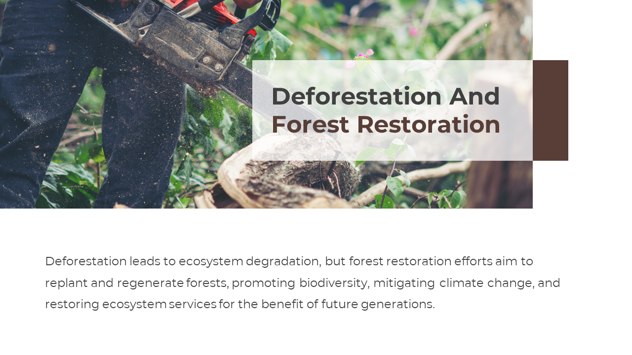 703588-deforestation-powerpoint-templates-free-download-08