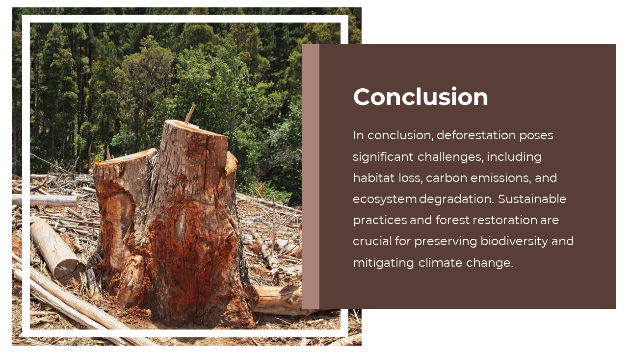 703588-deforestation-powerpoint-templates-free-download-10