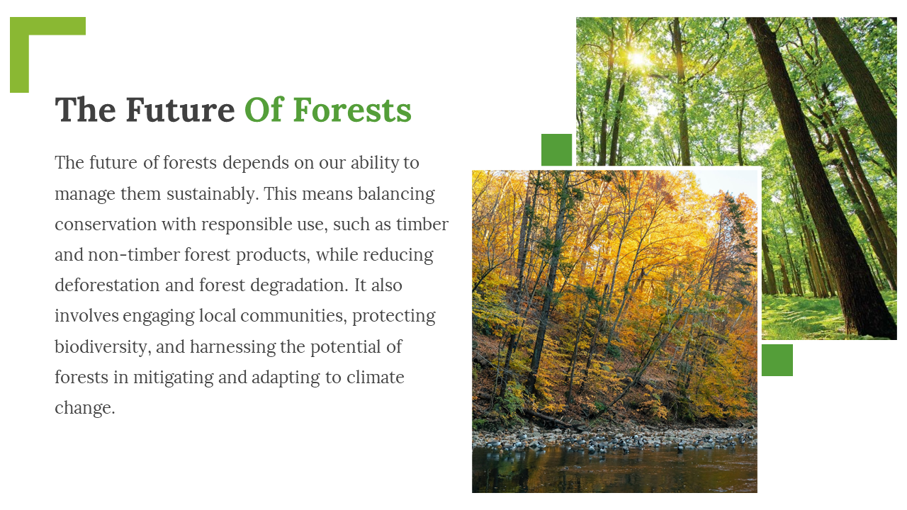 703593-slide-forest-free-template-05