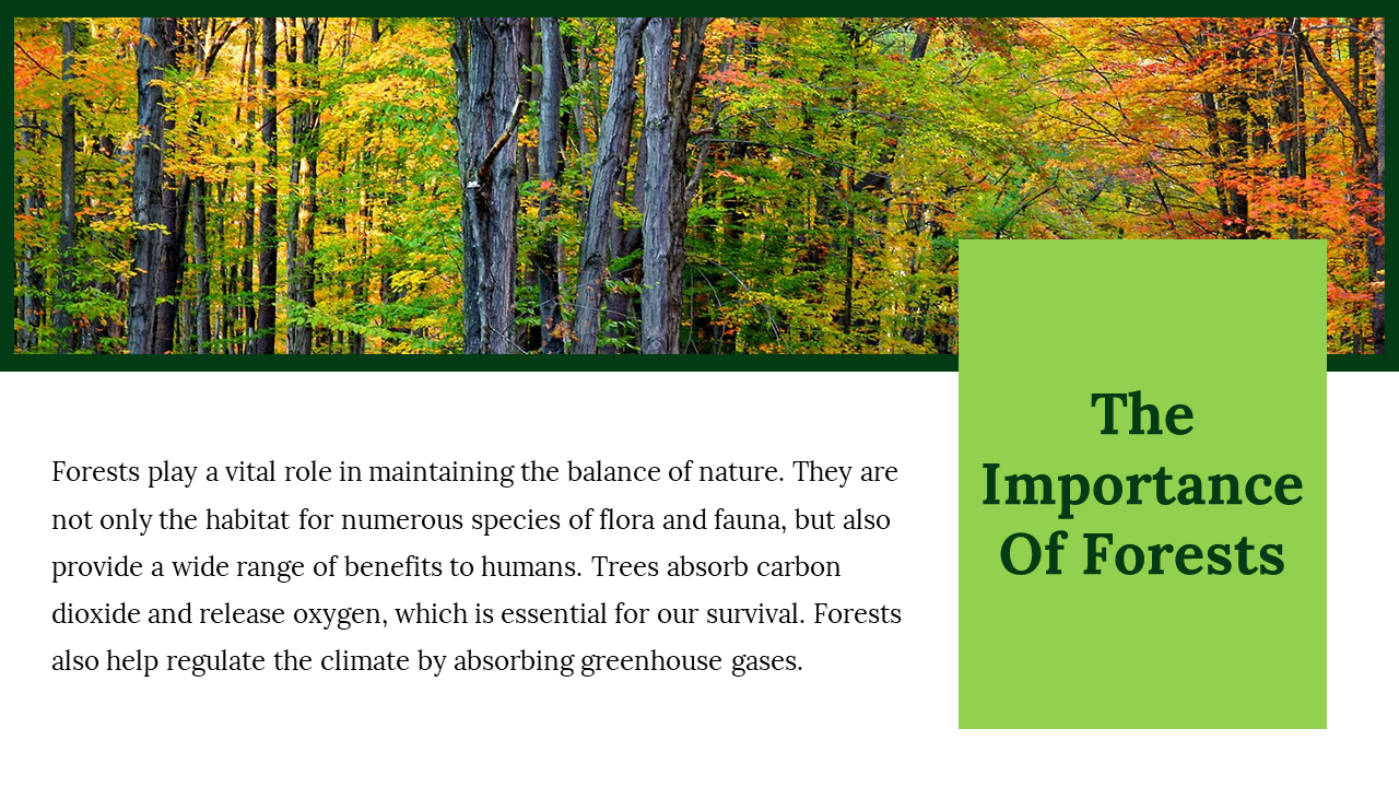 703602-forest-google-slides-theme-04