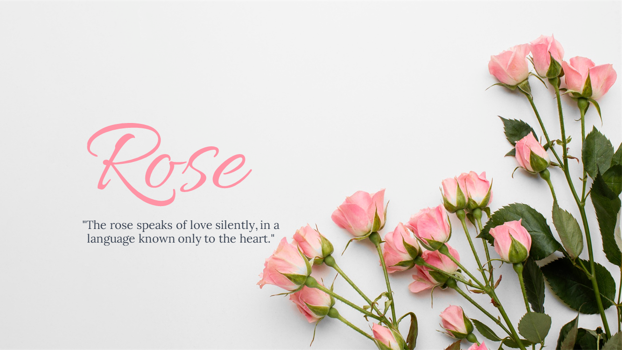 88893-background-powerpoint-rose-05