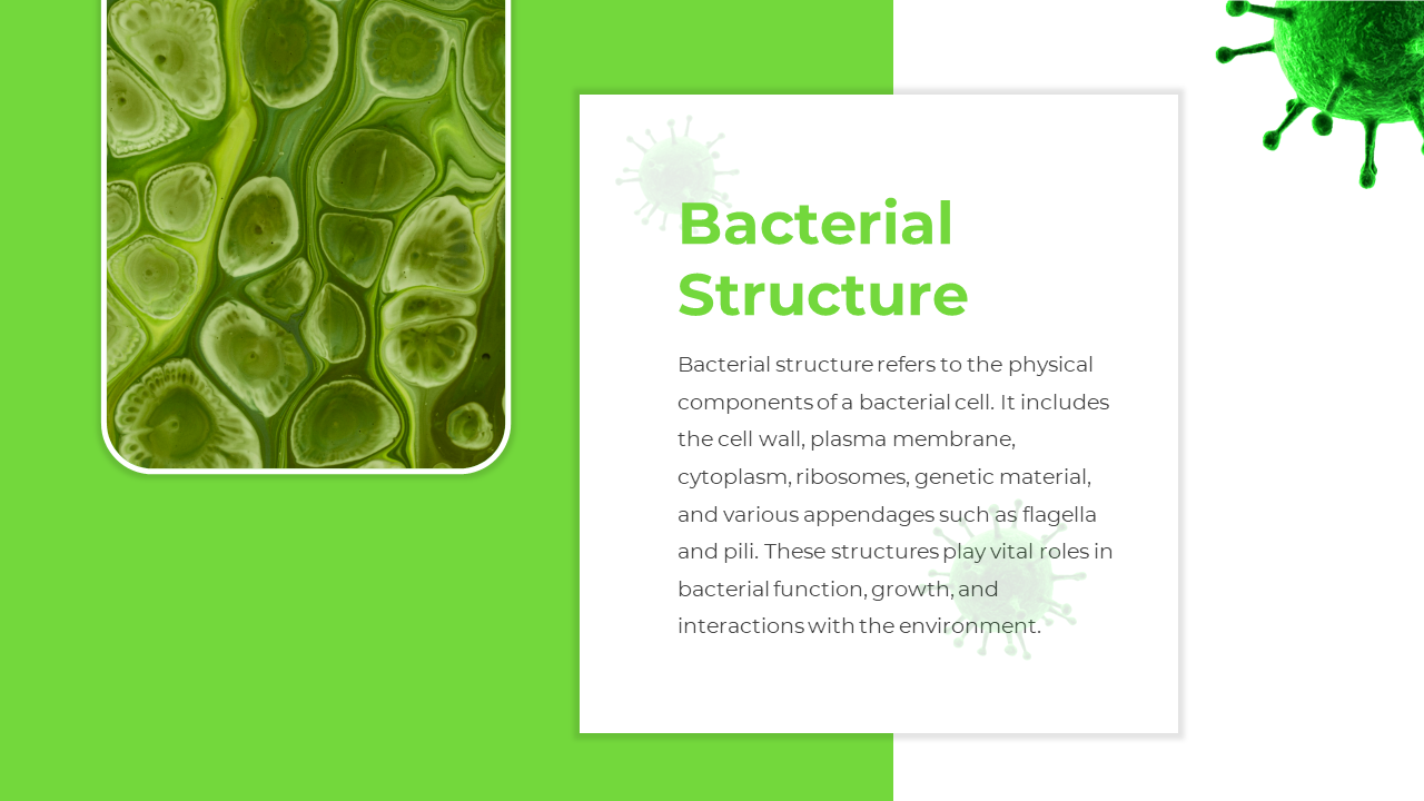 88988-bacteria-ppt-template-03