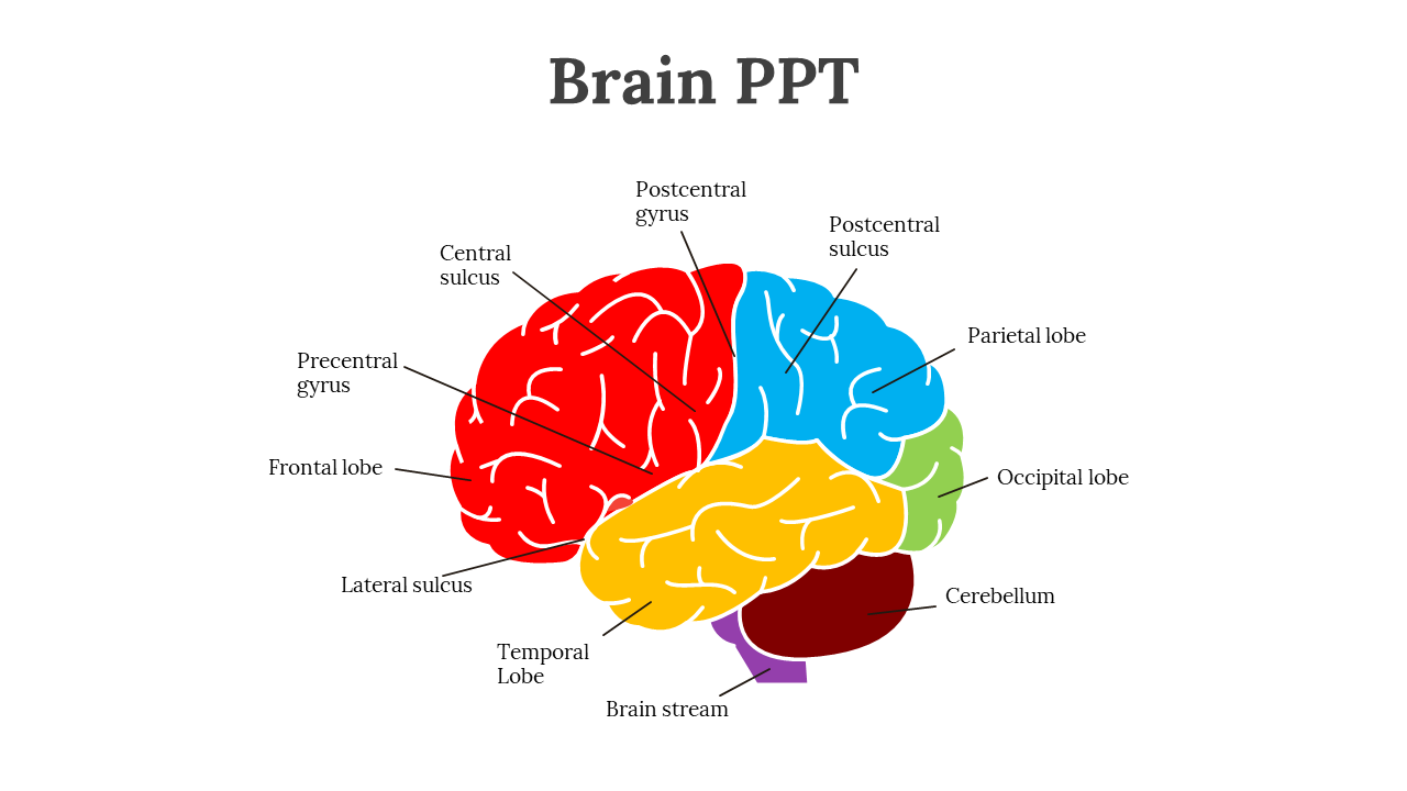 slide3