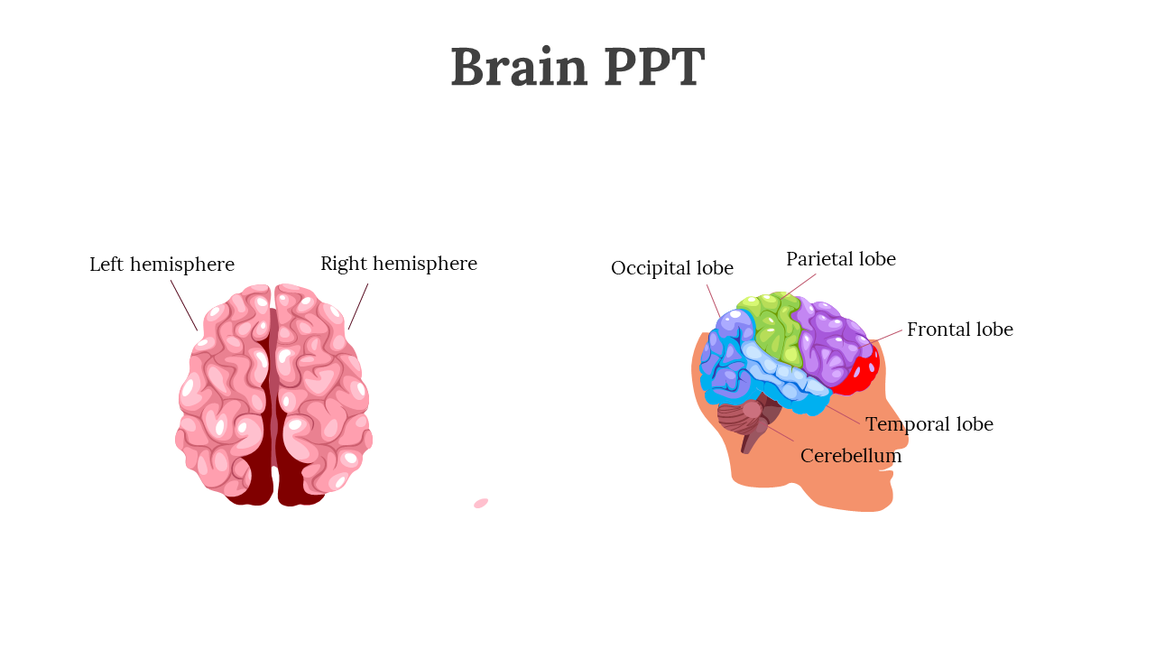 slide6