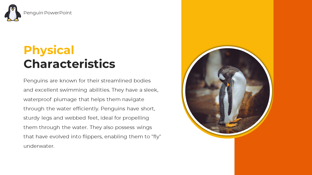 89218-penguin-powerpoint-template-03
