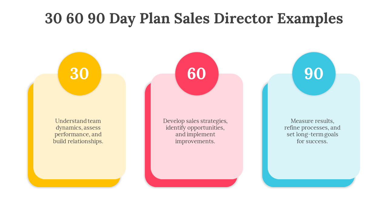 704071-30-60-90-day-plan-sales-director-examples-03