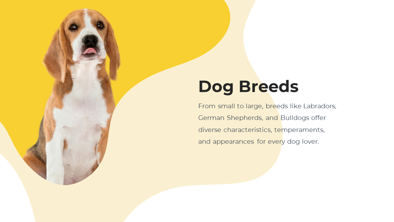 800072-dog-themed-powerpoint-template-02