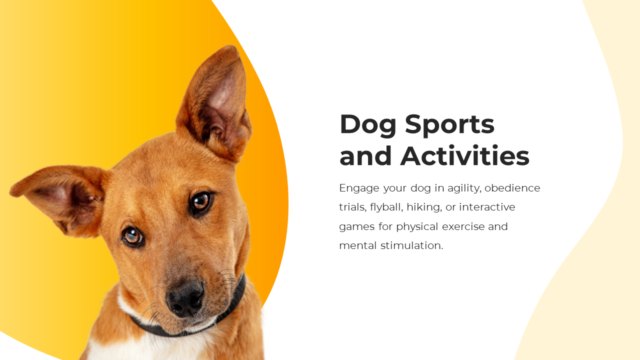 800072-dog-themed-powerpoint-template-06
