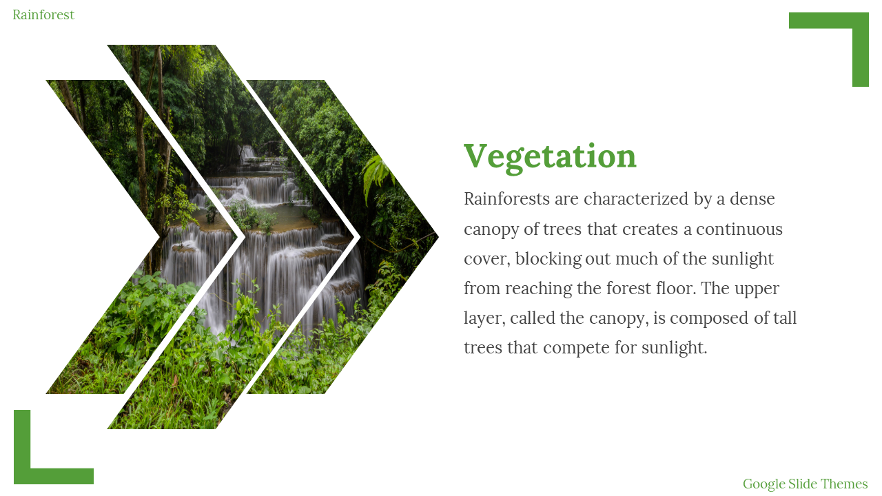 704609-rainforest-google-slides-theme-04