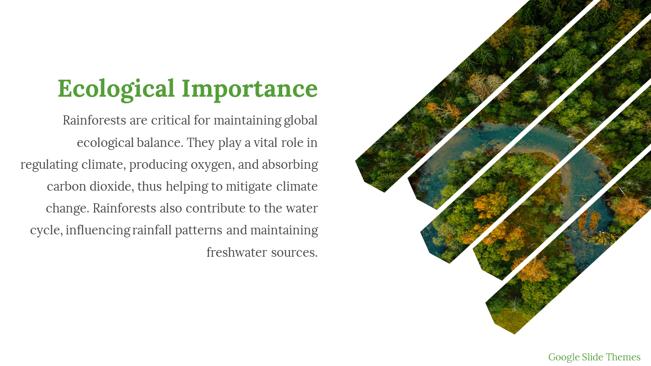 704609-rainforest-google-slides-theme-05