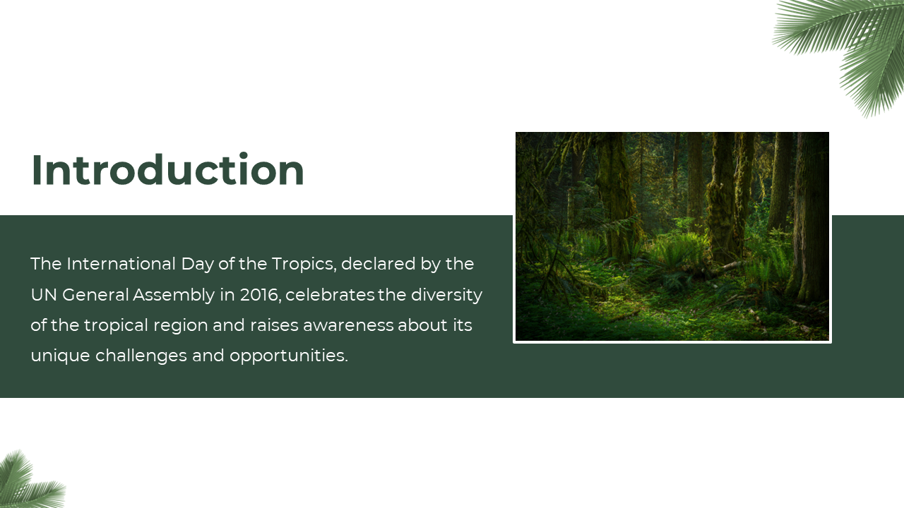 704614-international-day-of-the-tropics-presentation-template-02
