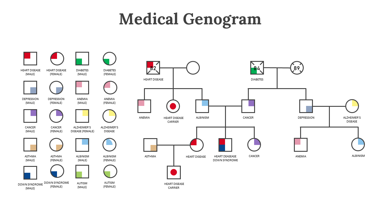 800219-genogram-example-12