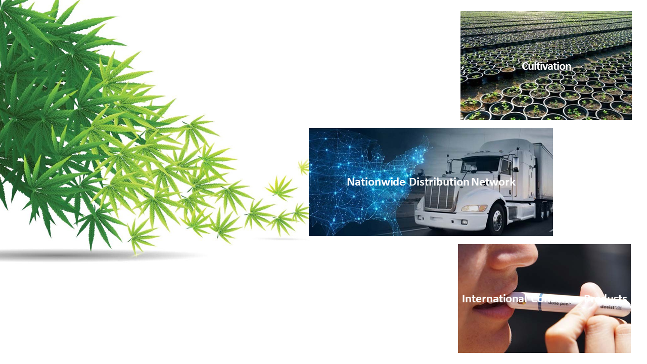 704705-cannabis-company-investor-pitch-deck-02