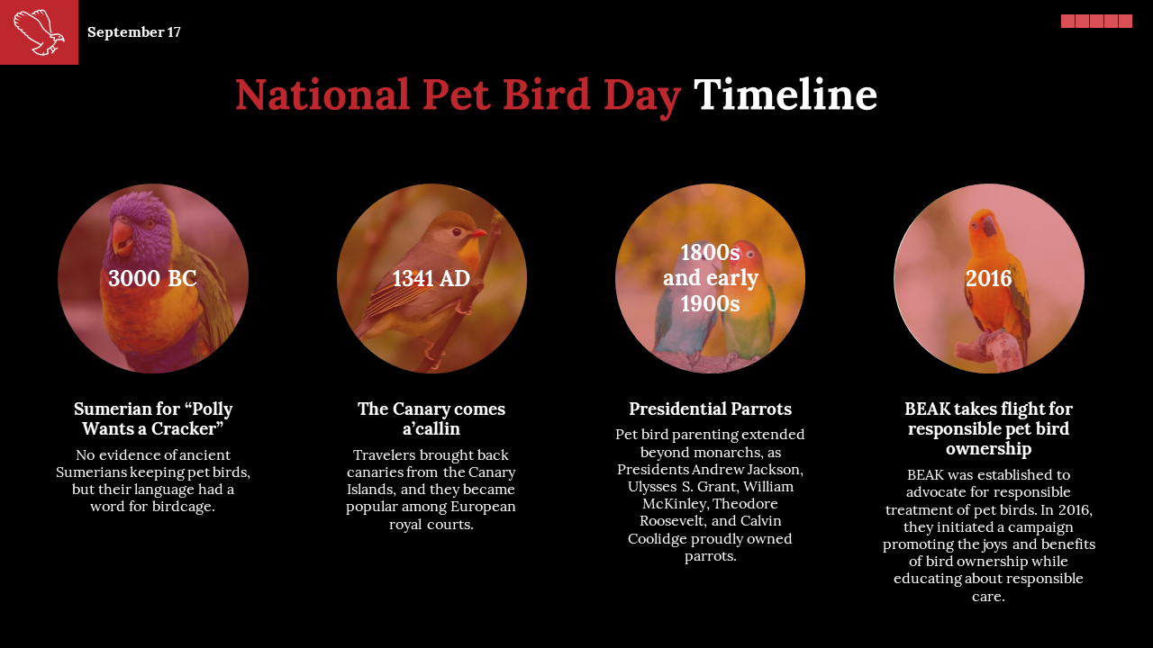 800386-national-pet-bird-day-04