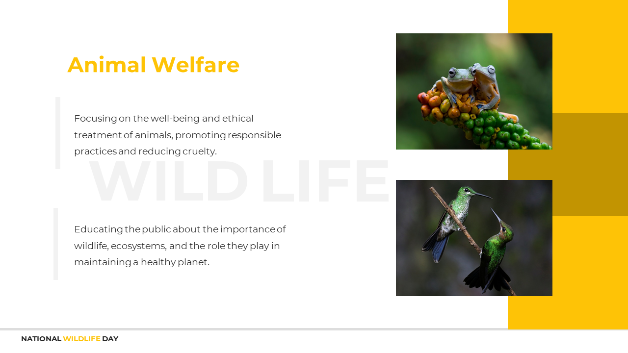 800417-national-wildlife-day-09