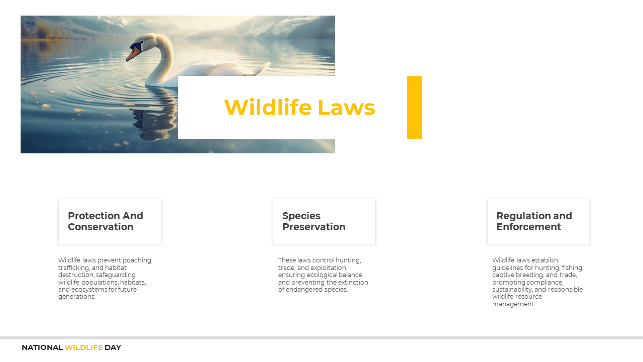 800417-national-wildlife-day-12