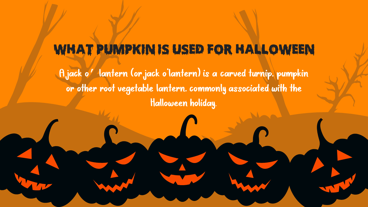 704796-halloween-10