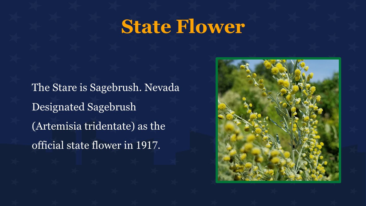 704836-nevada-day-11