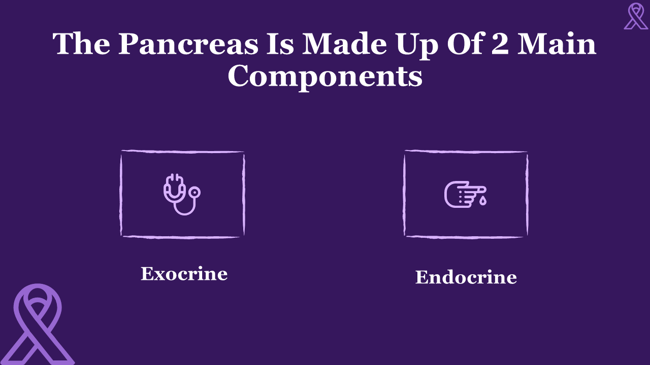 704874-world-pancreatic-cancer-day-07