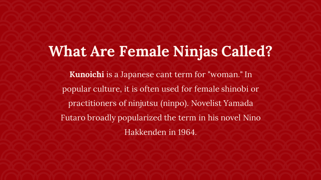 400018-day-of-the-ninja-15